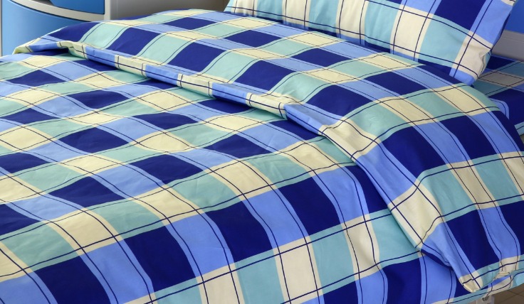 Blue Ridge Mountains