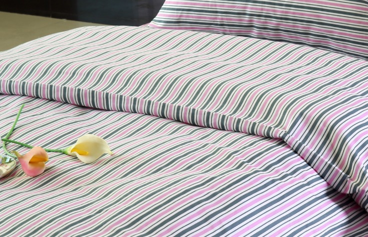 Blue Ridge Mountains