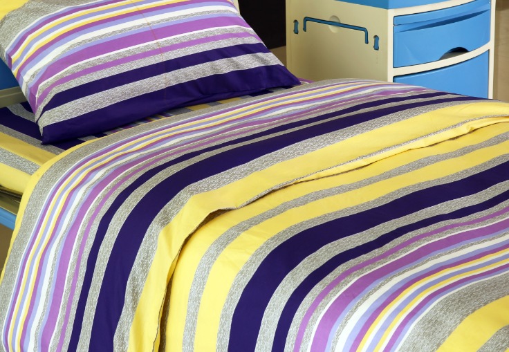 Blue Ridge Mountains