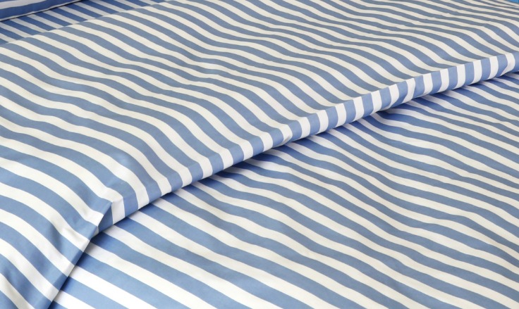 Blue Ridge Mountains