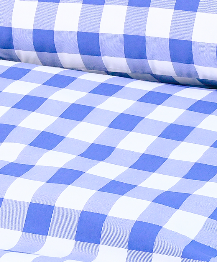 Blue Ridge Mountains